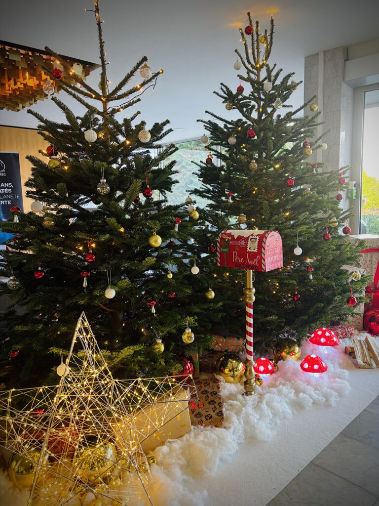 Stand de Noël avec sapins naturels en entreprise