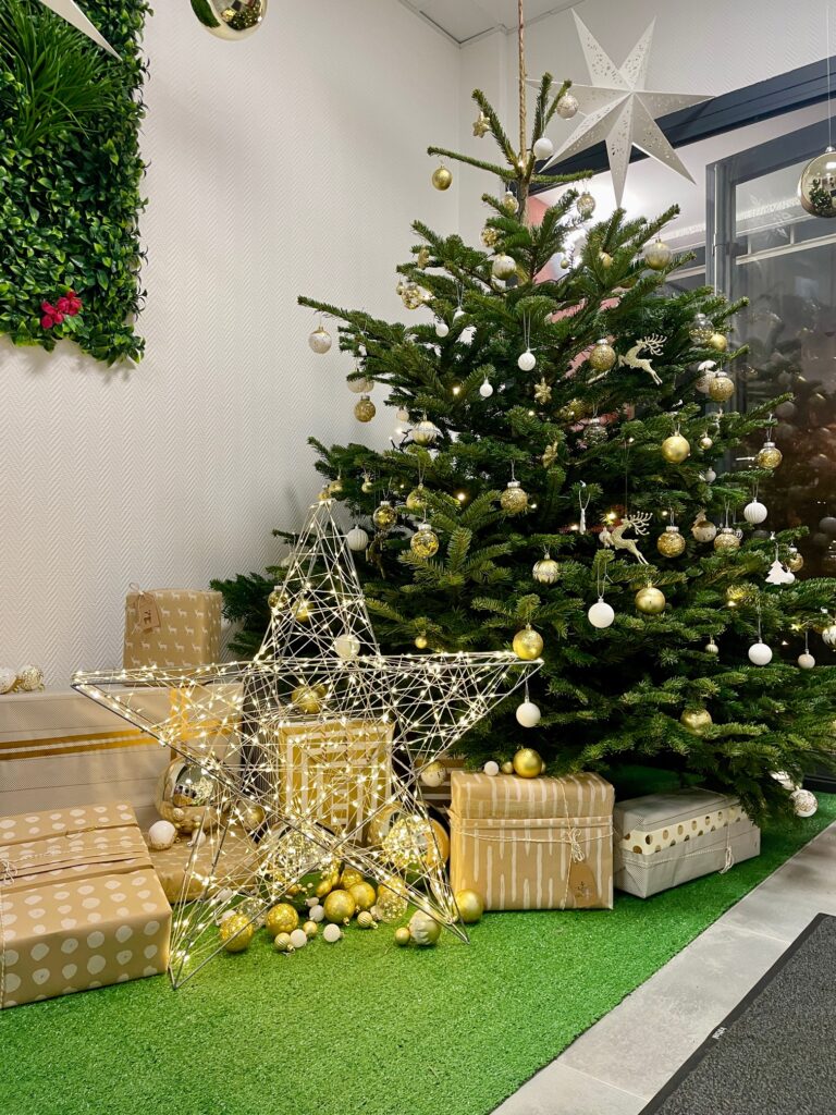 Location de sapin de noel à Hyères