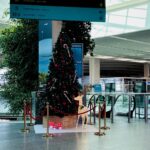 Location de sapin de Noël géant à Hyères les Palmiers