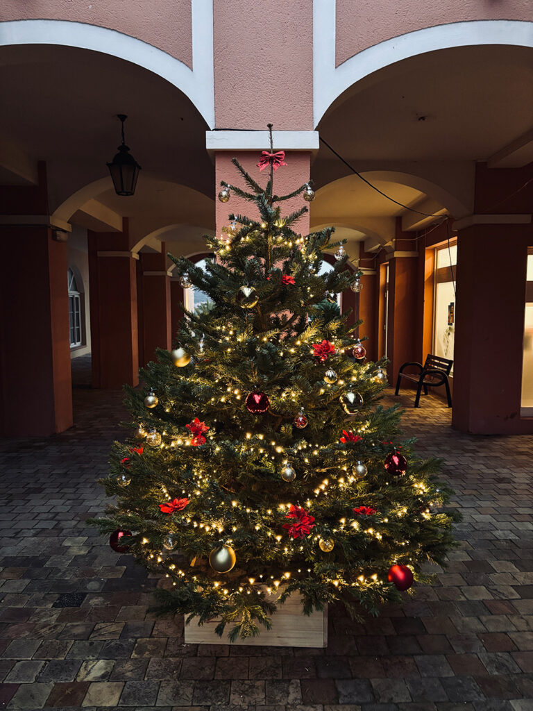 Location de sapin de Noël à Saint-Raphaël