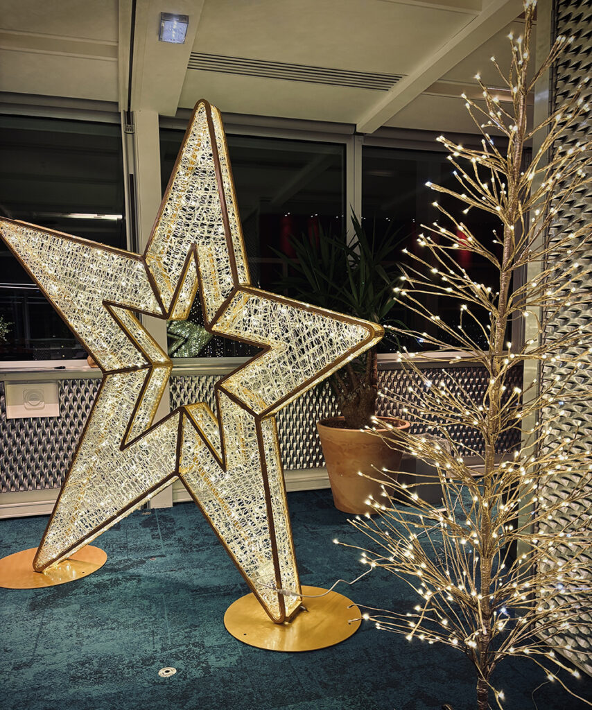 Etoile géante lumineuses à louer à Marseille